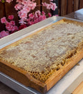 Kars Yaylası Petek Bal 🍯