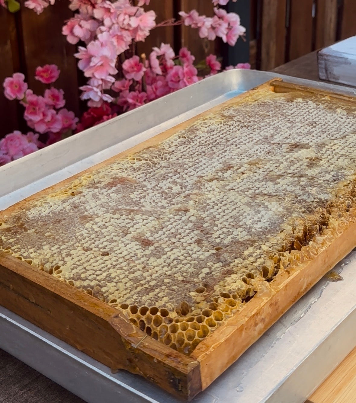 Kars Yaylası Petek Bal 🍯